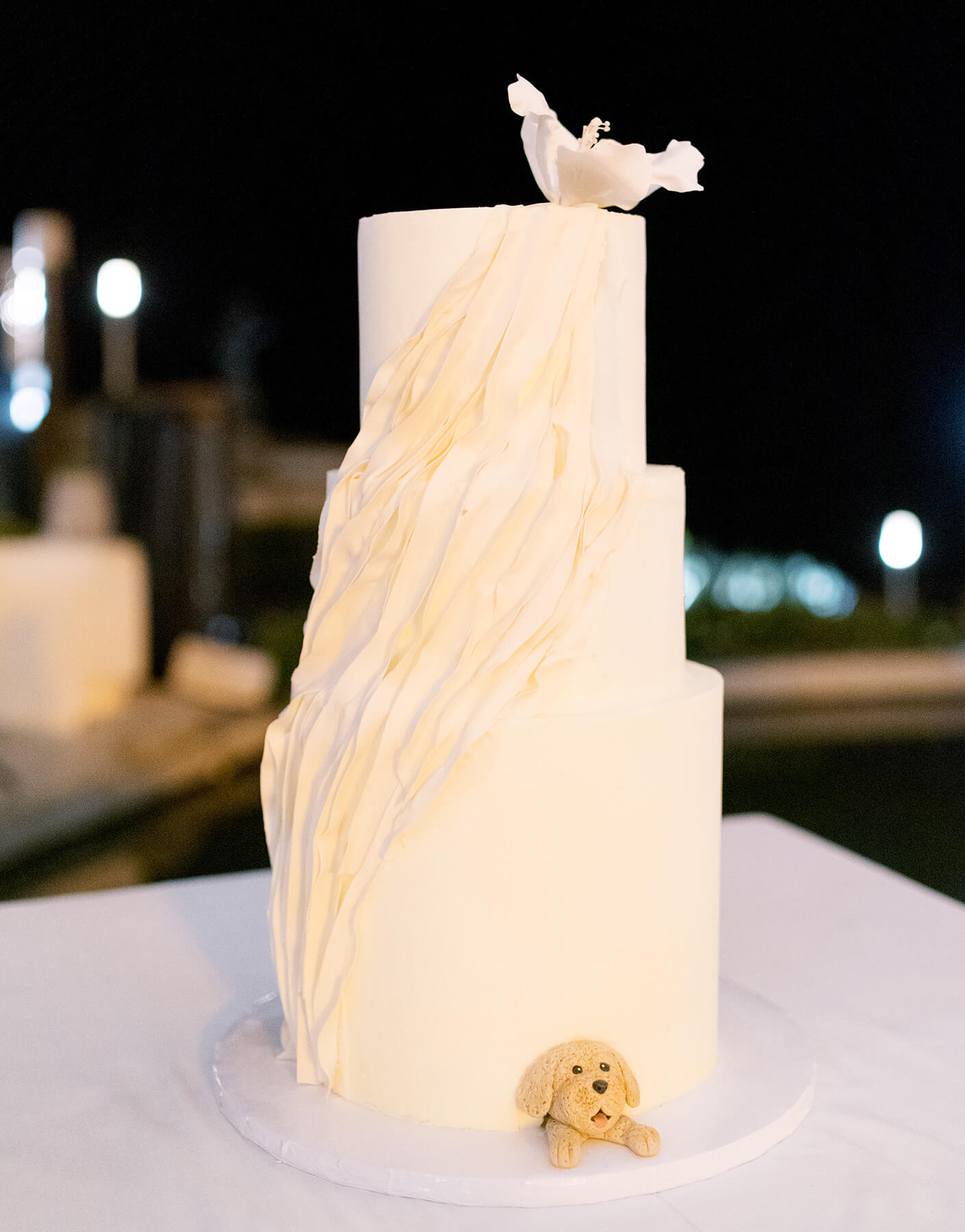 enchanting wedding monalisa los cabos